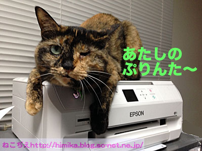 kuki_printer_IMG_0777.jpg